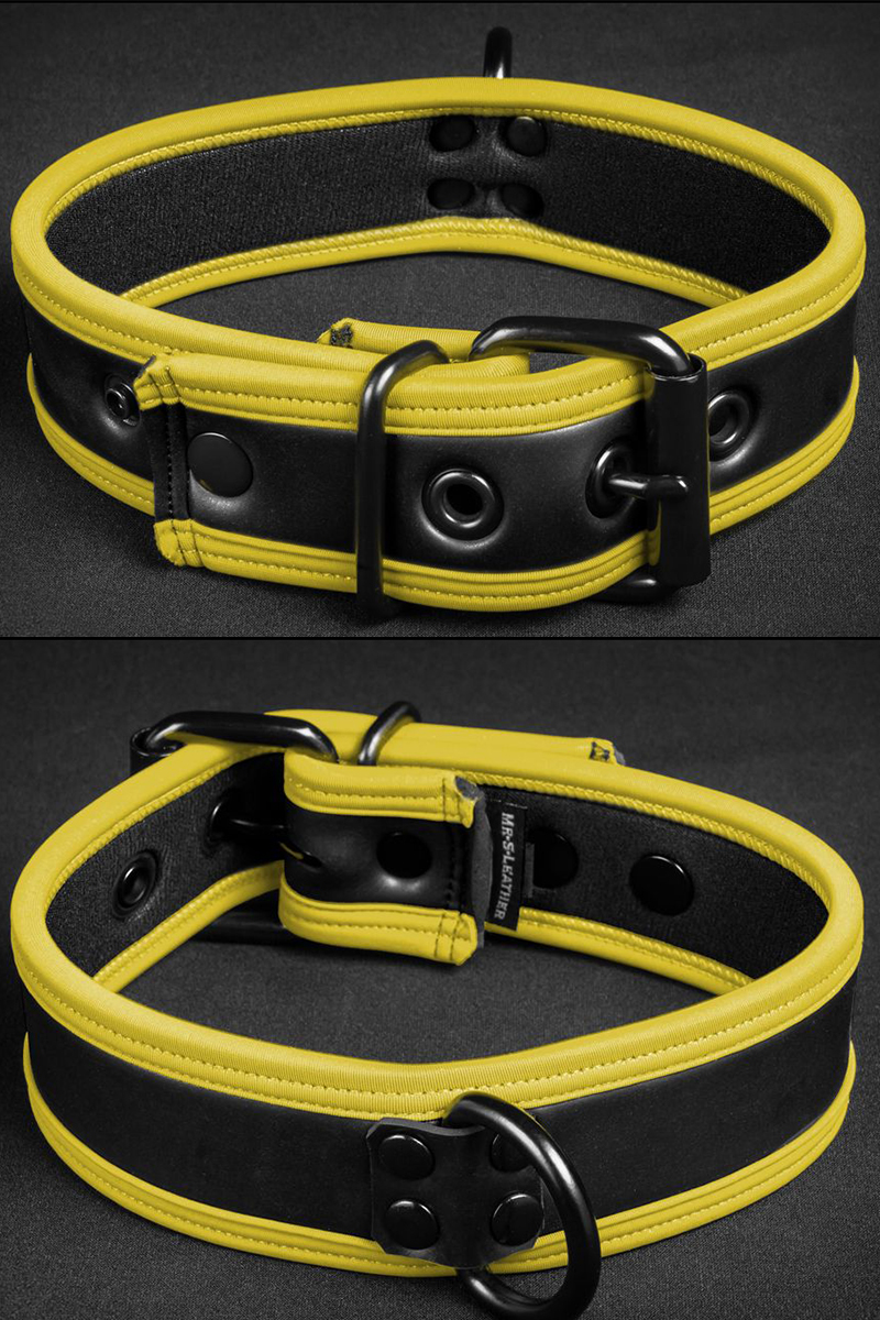Mr S Leather Neoprene Puppy Collar Black Yellow